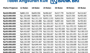 Simulasi Angsuran KUR BRI 2026 Pinjaman Rp 80 Juta, Cicilan per Bulannya Berapa?