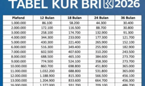 KUR BRI