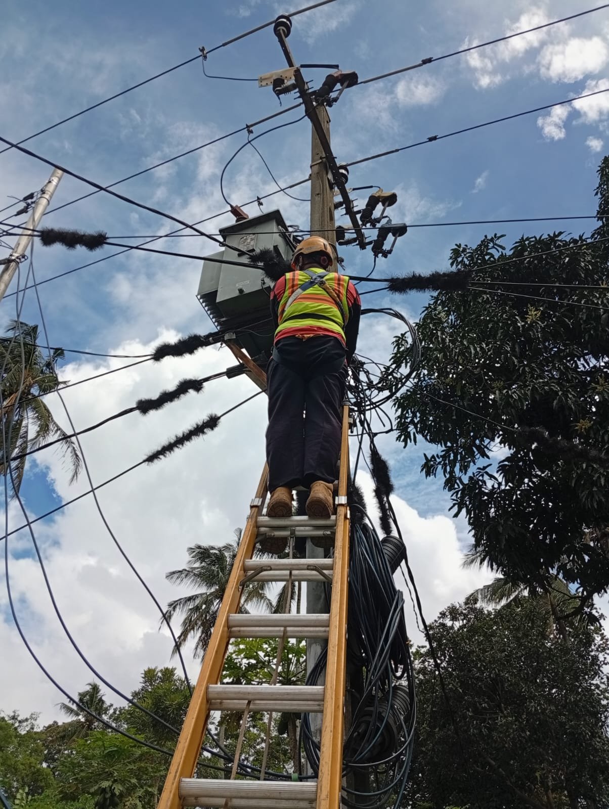 PLN Icon Plus Lakukan P3AK di Kecamatan Cimalaka untuk Jaga Keandalan Jaringan PLN Icon Plus Lakukan P3AK di Kecamatan Cimalaka untuk Jaga Keandalan Jaringan