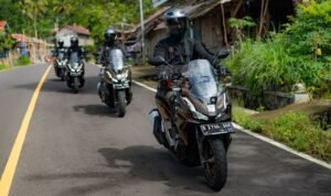 Rilis
