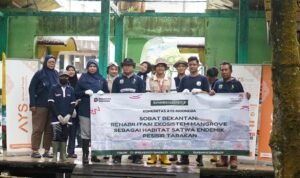 rilis