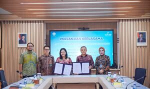 rilis