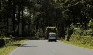 Ilustrasi kawasan wisata Lembang.