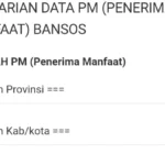 Cara Menurunkan Desil untuk Bansos