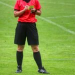 Ilustrasi wasit.
