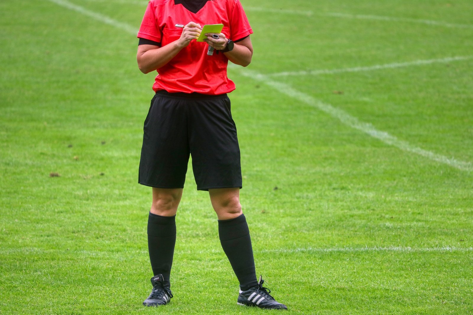 planet_fox-yellow-card-4496844 Ilustrasi wasit.