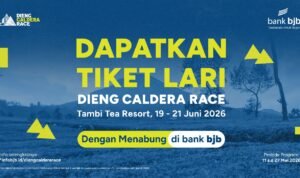 Rilis bjb