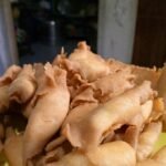 Resep pisang molen mini renyah.