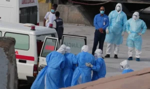 Wabah Hantavirus dari Kapal Pesiar Menyebar ke 4 Benua, 3 Orang Meninggal Dunia Wabah Hantavirus dari Kapal Pesiar Menyebar ke 4 Benua, 3 Orang Meninggal Dunia