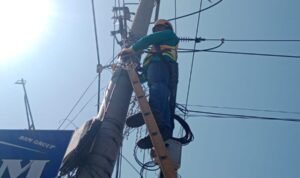 Perkuat Keandalan Jaringan, PLN Icon Plus SBU Regional Jawa Barat Laksanakan P3AK di Jalur Cintalaksana Karawang