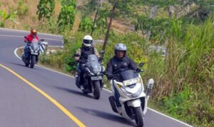 turing ke gunung