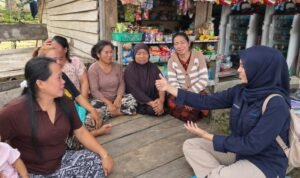 Fipi Novita Sari sebagai Account Officer (AO) PNM Mekaar