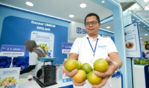 Antoni, petani Jeruk Semboro, Jember, Jawa Timur.